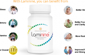 Best Explanation: What Is Laminine