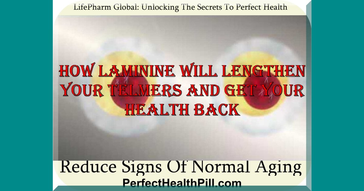 LAMININE TELOMERE FOLLOW UP VIDEO