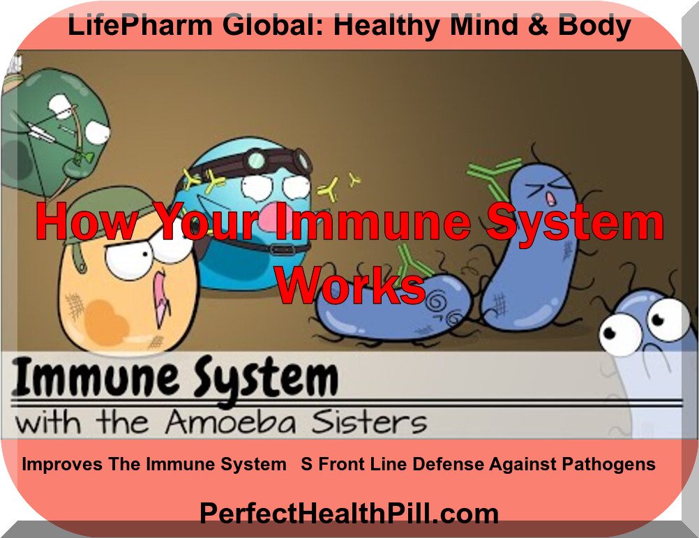 Immune System