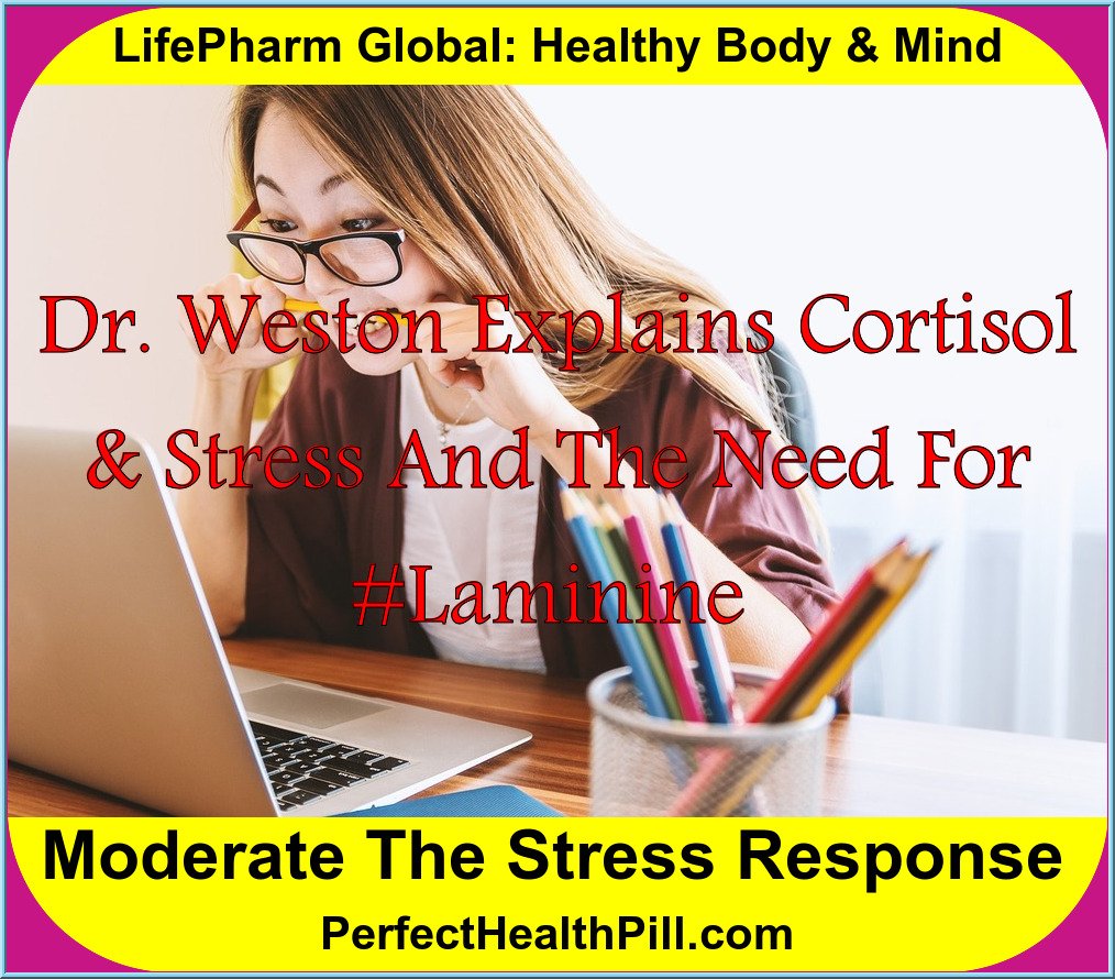 Cortisol: The Stress Connection | Dr. Weston