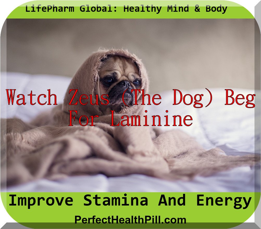 Laminine is People and Pet Approved!